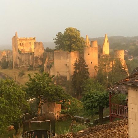 Chez Fred Avec Vue Sur Le Chateau Angles-sur-l'Anglin Екстер'єр фото