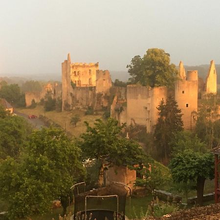 Chez Fred Avec Vue Sur Le Chateau Angles-sur-l'Anglin Екстер'єр фото