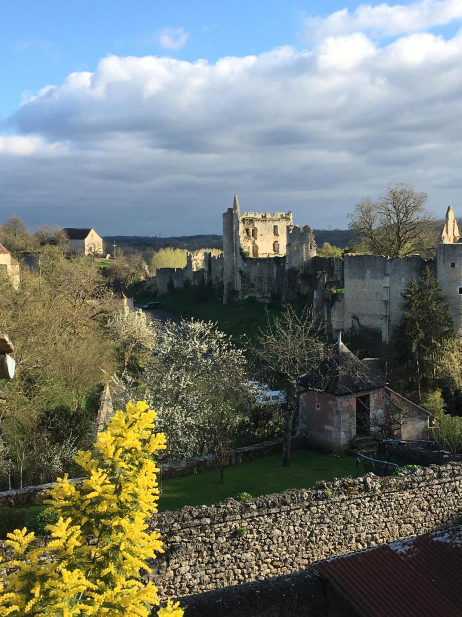 Chez Fred Avec Vue Sur Le Chateau Angles-sur-l'Anglin Екстер'єр фото